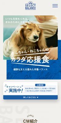 わんちゃん・ねこちゃんのカラダ応援食のLPデザイン（ペットフード ・ ペット用品／ブルー系／かわいい系）スマホ版