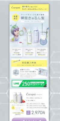Kyulpoot Deep Damage Care Set LP design (Skincare, Bodycare, Haircare / White-based / Simple) PC version