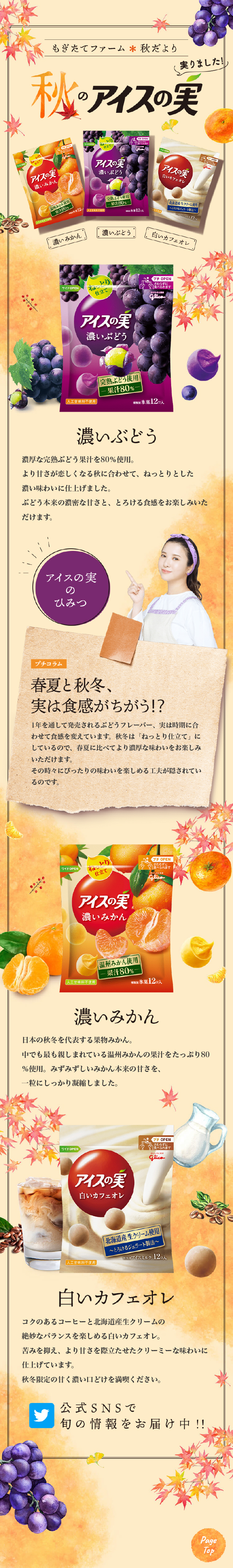 Ice no Mi [Autumn Flavor] LP design (Western confectionery / Beige tones / Arts) Mobile version