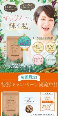 Lithea LP design (Beauty foods, beauty drinks, and supplements / Orange tones / Health and Wellness) PC version