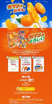 Gatsun to Mikan LP design (Events, Campaigns, Experiences / Orange tones / Lively type) PC version