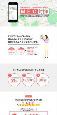 MEO Solutions LP design (Design, Apps, Systems / Pink shades / Simple) PC version