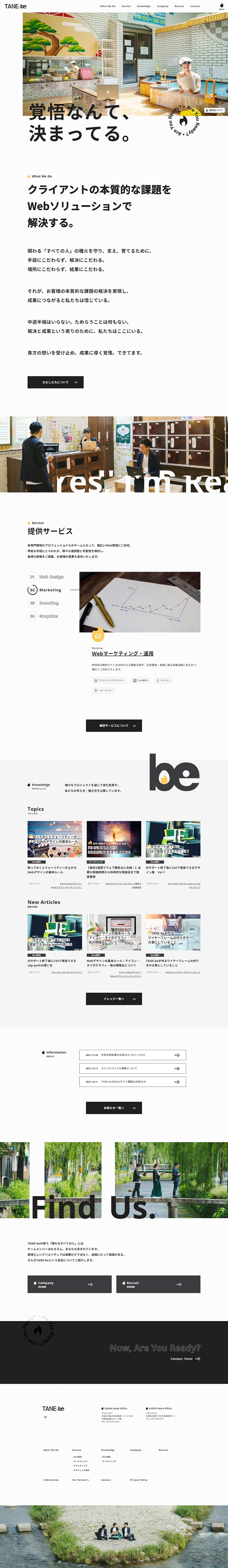 TANE-be Inc. LP design (Businesses, companies, stores / yellow / Simple) PC version