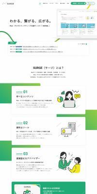 SURGE LP design (Design, Apps, Systems / Green tones / Trust and Safety) PC version