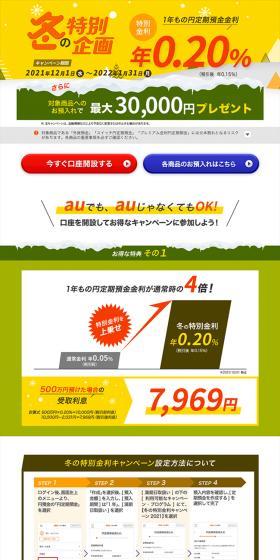 Winter Special Offer LP design (Insurance, Finance, Credit / White-based / Trust and Safety) PC version