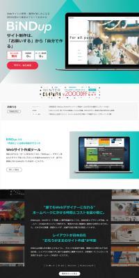 BiNDup LP design (Design, Apps, Systems / Shades of blue / Trust and Safety) PC version