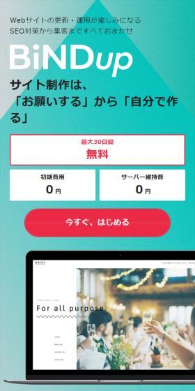 BiNDupのLPデザイン（デザイン・アプリ・システム／ブルー系／信頼・安心系）スマホ版