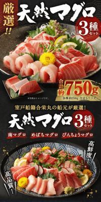 Carefully Selected 3-Variety Wild Tuna Set LP design (Seafood / Black-colored / Japanese style) PC version