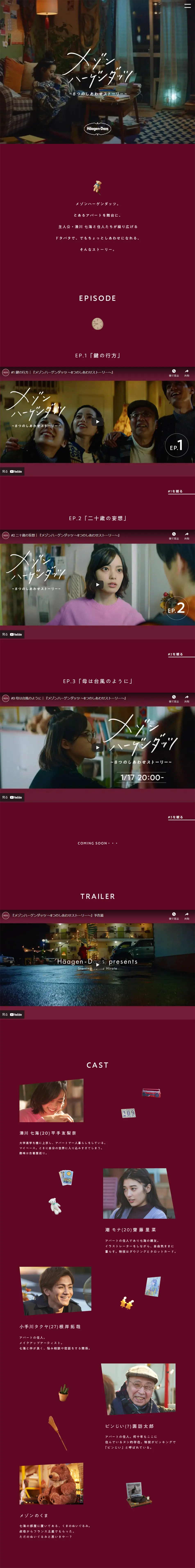 メゾンハーゲンダッツ 8つのしあわせストーリーのLPデザイン（洋菓子／レッド系／シンプル系）PC版