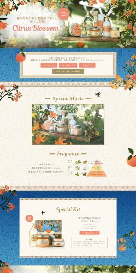 Citrus Blossom LP design (Perfumes & Fragrances / Shades of blue / Cute style) PC version