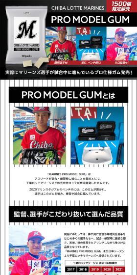 MARINES PRO MODEL GUMのLPデザイン（スナック・ガム・あめ・グミ／ブラック系／にぎやか系）PC版
