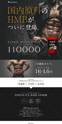 HMBMAXpro LP design (protein supplement / Shades of grey / Cool style) PC version