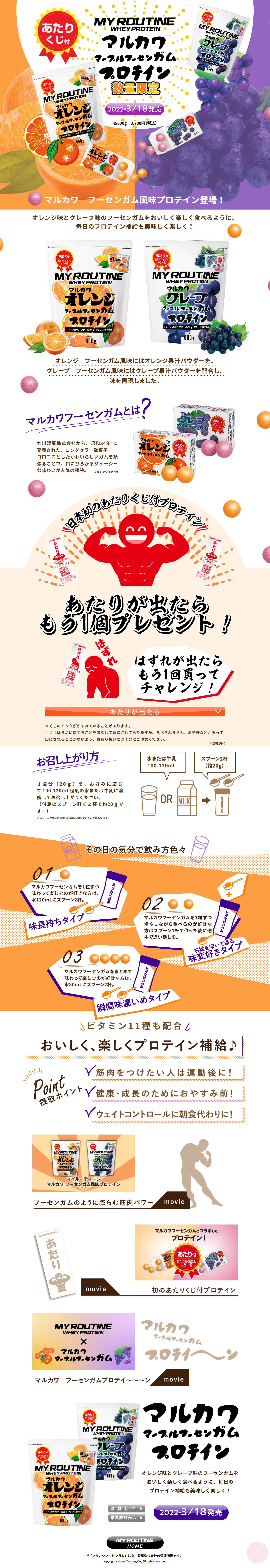 マルカワフーセンガムプロテインのLPデザイン（オレンジ系／かわいい系）PC版