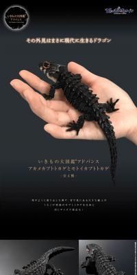 Red-eyed Crocodile Skink and Tri-colored Crocodile Skink LP design (Toys, Hobbies & Figures / Black-colored / Cool style) PC version