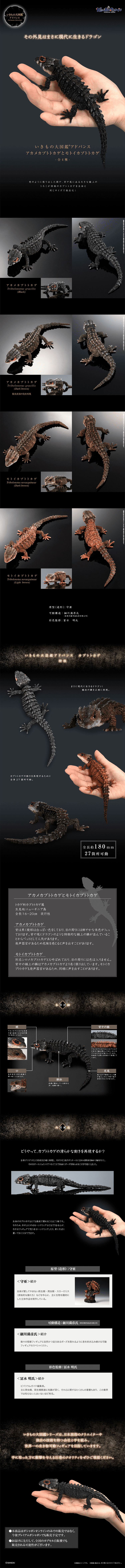 Red-eyed Crocodile Skink and Tri-colored Crocodile Skink LP design (Toys, Hobbies & Figures / Black-colored / Cool style) PC version