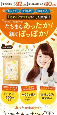 おひさまのおめぐ実のLPデザイン（健康食品・健康ドリンク・サプリメント／オレンジ系／かわいい系）PC版