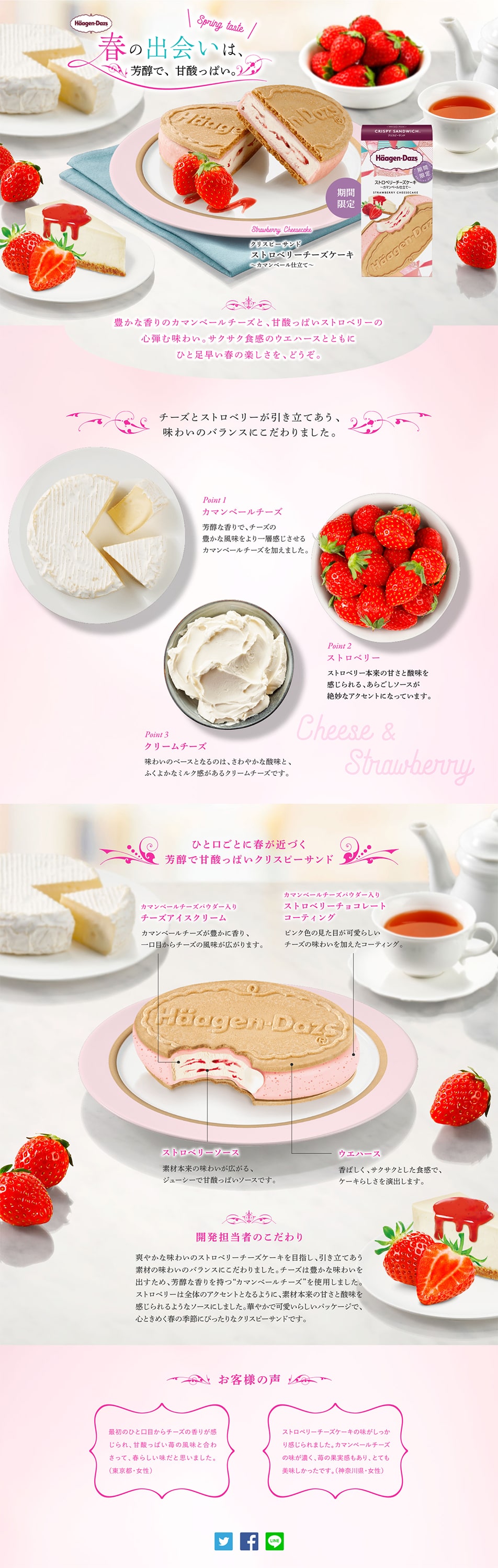 Strawberry Cheesecake ~Camembert Style~ LP design (Western confectionery / Pink shades / Cute style) PC version