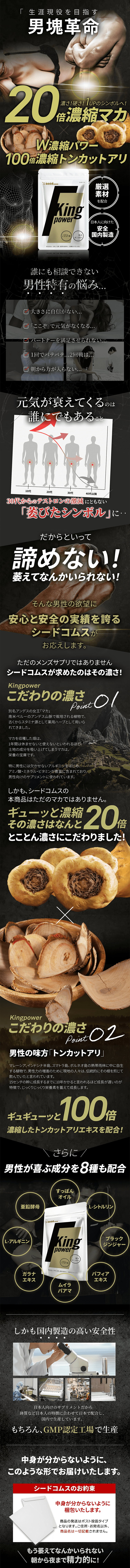 キングパワーのLPデザイン（健康食品・健康ドリンク・サプリメント／ブラック系／かっこいい系）PC版