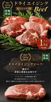 ドライエイジングビーフのLPデザイン（肉・肉加工品／ブラウン系／キレイ系）PC版