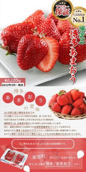 Hakata Amaou LP design (fruit-vegetable / Red tones / Refined style) PC version