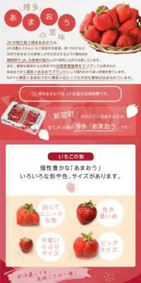 博多あまおうのLPデザイン（フルーツ・果物・野菜／レッド系／キレイ系）スマホ版