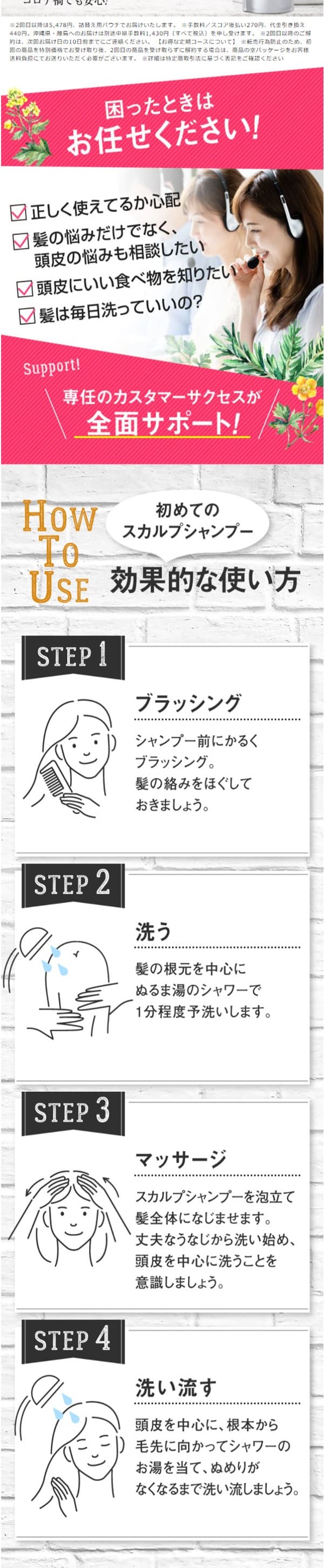 BELTAスカルプシャンプーのLPデザイン（スキンケア・ボディケア・ヘアケア／ブラック系／キレイ系）PC版
