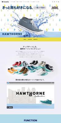 HAWTHORNERAINⅢWATERPROOF LP design (Shoes / Shades of blue / Cute style) PC version