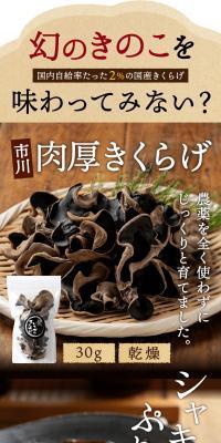Wood ear mushroom LP design (Prepared foods, dishes, and cuisine / Beige tones / Trust and Safety) PC version