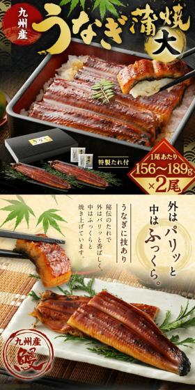 Kyushu-produced grilled eel (kabayaki style), 2 large fillets LP design (Prepared foods, dishes, and cuisine / Black-colored / Japanese style) PC version