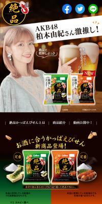 絶品かっぱえびせんのLPデザイン（スナック・ガム・あめ・グミ／ゴールド系／和風系）スマホ版