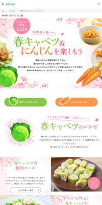 Spring Cabbage & Carrot Recipes LP design (Seasonings, Sweeteners, Broth, Soup / Pink shades / Natural style) PC version