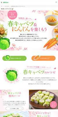 春キャベツ＆にんじんレシピのLPデザイン（調味料・甘味料・ダシ・スープ／ピンク系／ナチュラル系）PC版