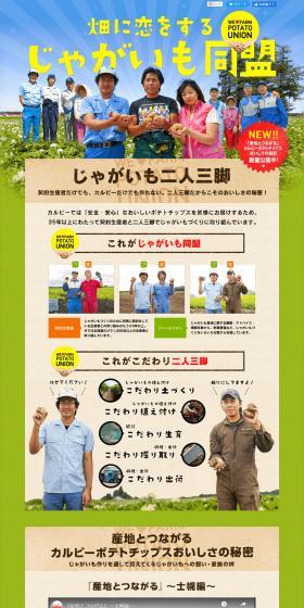 Potato Alliance in Love with the Field LP design (Diagnosis, Matching, and Summary / Green tones / Refreshing type) PC version