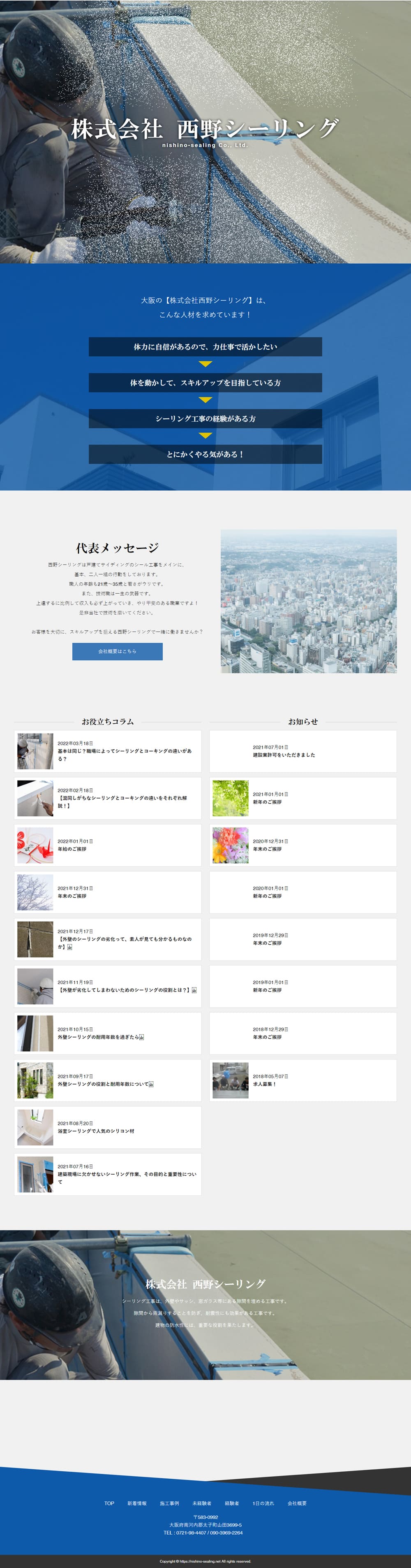 Sealing for detached houses and assembly work. LP design (Businesses, companies, stores / Shades of blue / Simple) PC version