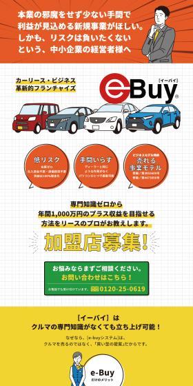 Recruiting Car Lease Franchisees LP design (Businesses, companies, stores / Orange tones / Trust and Safety) PC version