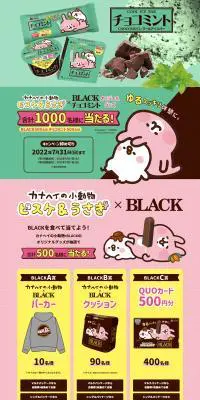 BLACK & チョコミントのLPデザイン（イエロー系／にぎやか系）PC版