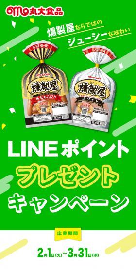 LINEポイント プレゼントキャンペーンのLPデザイン（肉・肉加工品／グリーン系／にぎやか系）スマホ版