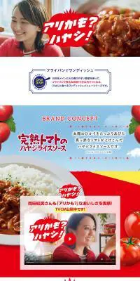 完熟トマトのハヤシライスソースのLPデザイン（調味料・甘味料・ダシ・スープ／レッド系／シンプル系）PC版