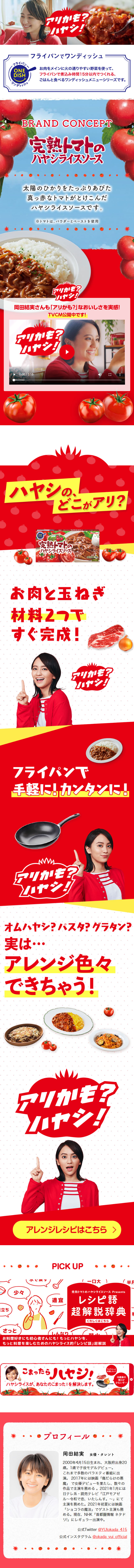 完熟トマトのハヤシライスソースのLPデザイン（調味料・甘味料・ダシ・スープ／レッド系／シンプル系）スマホ版