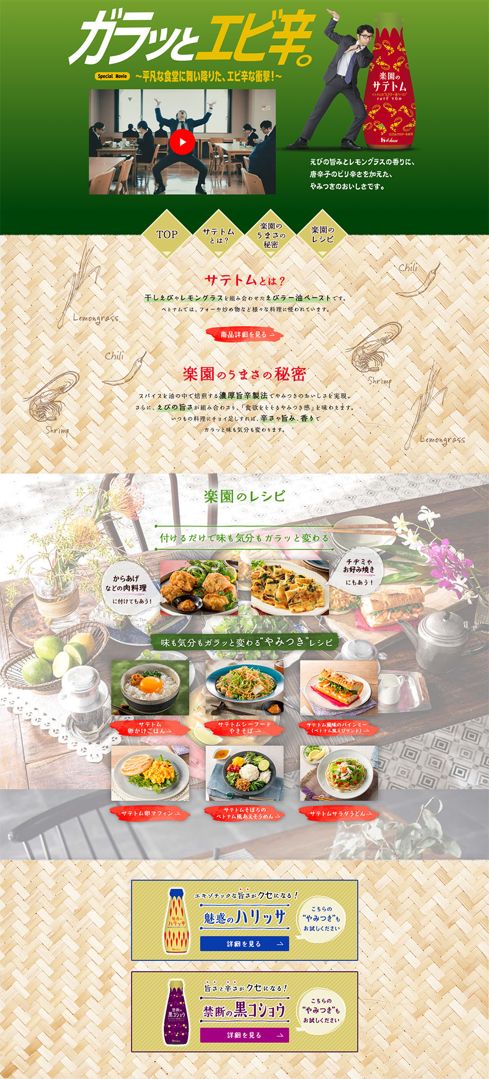 Rakuen no Satetomu LP design (Seasonings, Sweeteners, Broth, Soup / Green tones / Simple) PC version
