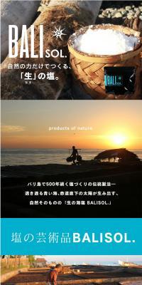 BALIOSOL. LP design (Seasonings, Sweeteners, Broth, Soup / Brown tones / Simple) PC version
