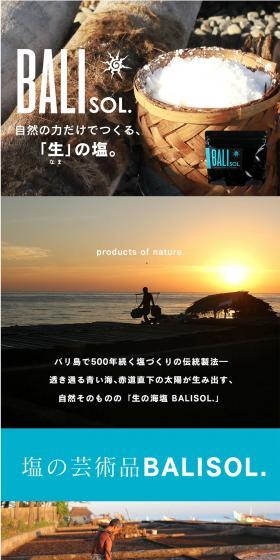 BALIOSOL. LP design (Seasonings, Sweeteners, Broth, Soup / Brown tones / Simple) PC version