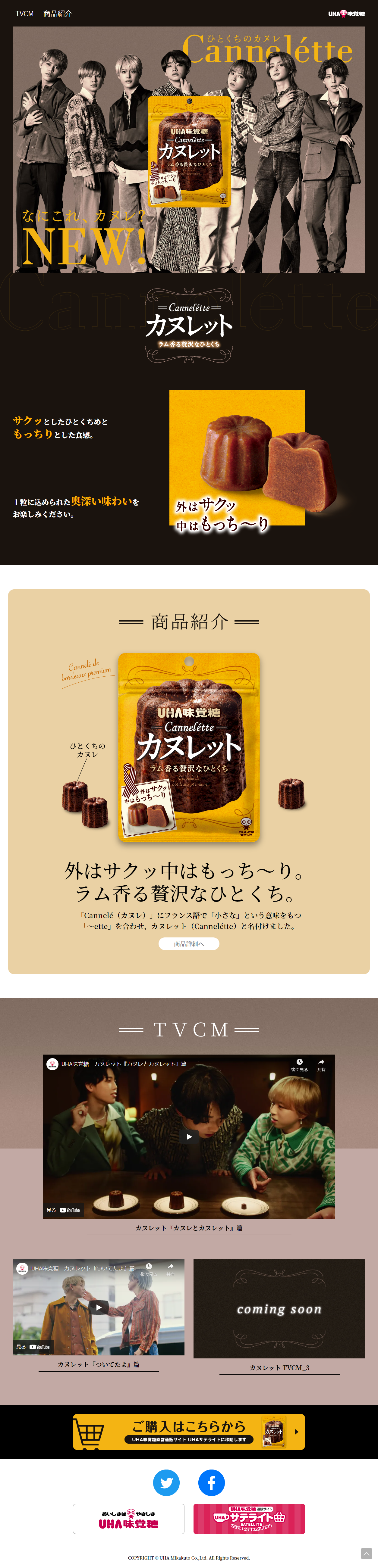 Cannelétte LP design (Snack foods, gum, and candy / Brown tones / Cool style) PC version