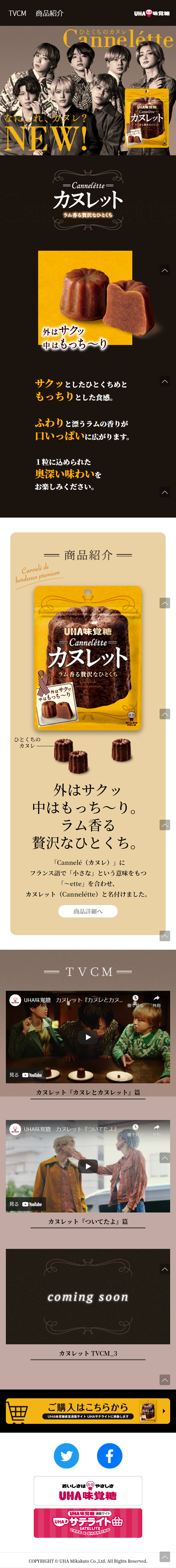 Cannelétte LP design (Snack foods, gum, and candy / Brown tones / Cool style) Mobile version