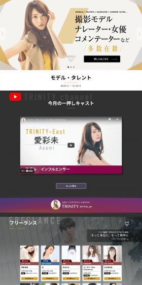 TRINITY LP design (Rental, Contracting, and Outsourcing / Shades of grey / Trust and Safety) PC version