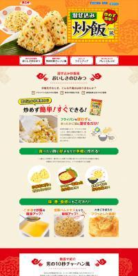 Mixed-in Fried Rice Style LP design (Seasonings, Sweeteners, Broth, Soup / Orange tones / Lively type) PC version