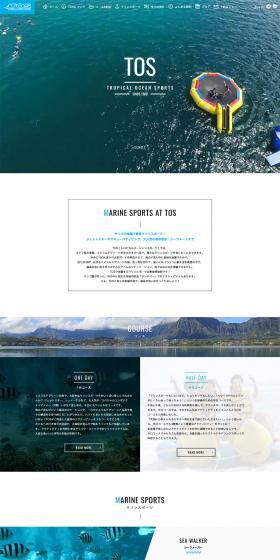 Tropical Ocean Sports LP design (Businesses, companies, stores / Shades of blue / Refreshing type) PC version
