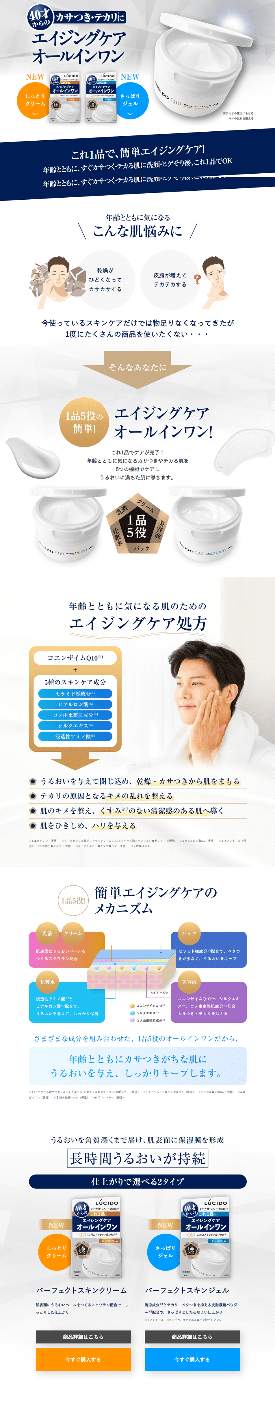 Aging Care All-in-One LP design (Skincare, Bodycare, Haircare / White-based / Clean-cut) PC version