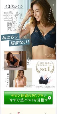 PG-Bra LP design (Underwear and Nightwear / Cute style) PC version