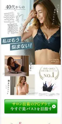 PG‐BraのLPデザイン（下着・ナイトウェア／かわいい系）PC版